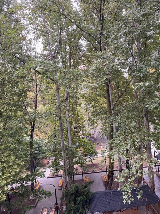 Soghanlughi Nice Apartment מראה חיצוני תמונה